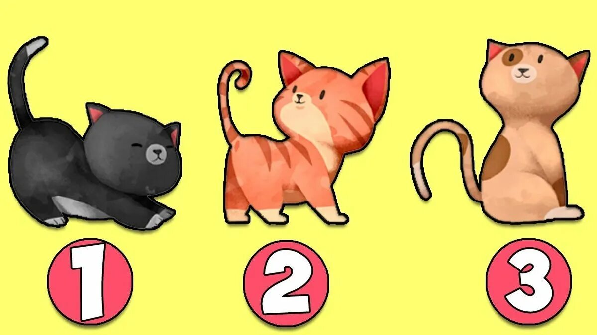 Подбери кота. Выбери кошку. тест выбери кошку. выбери кота и узнай. тест про кошек.