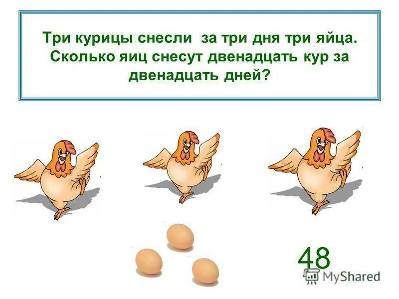 Несушки сколько яиц в день. Сколько яиц несет Несушка в день. Сколько яиц несет курица в день. Сколько яиц несет курица в год. Сколько яиц несет курица Несушка.