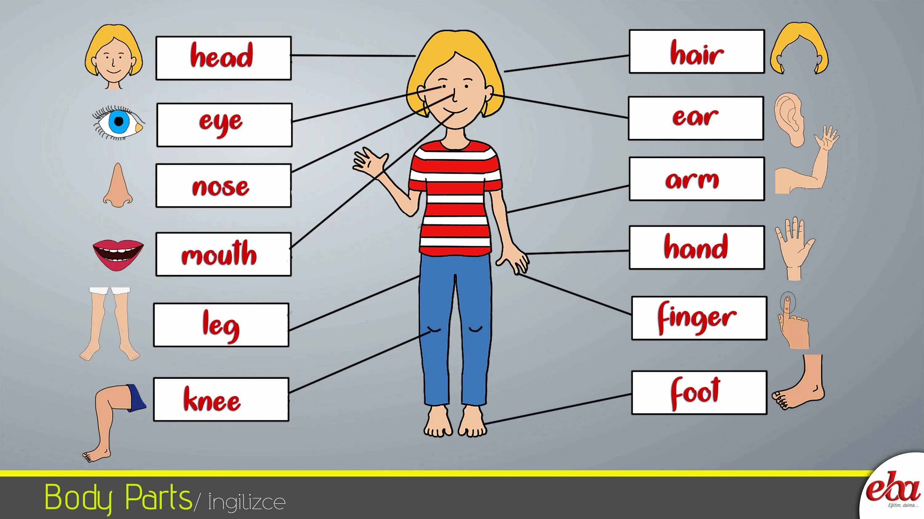 B d y h m s. Body Parts. Parts of the body урок. Body Parts for Kids. Parts of the body 2.