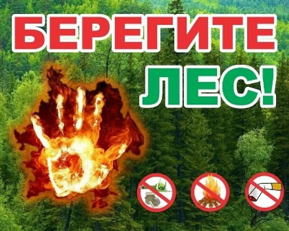 Беречь лес от пожара. Листовки на тему лесной пожар. Берегите лес отпоажара. Агитация противопожарной безопасности. Листовка лесные пожары.
