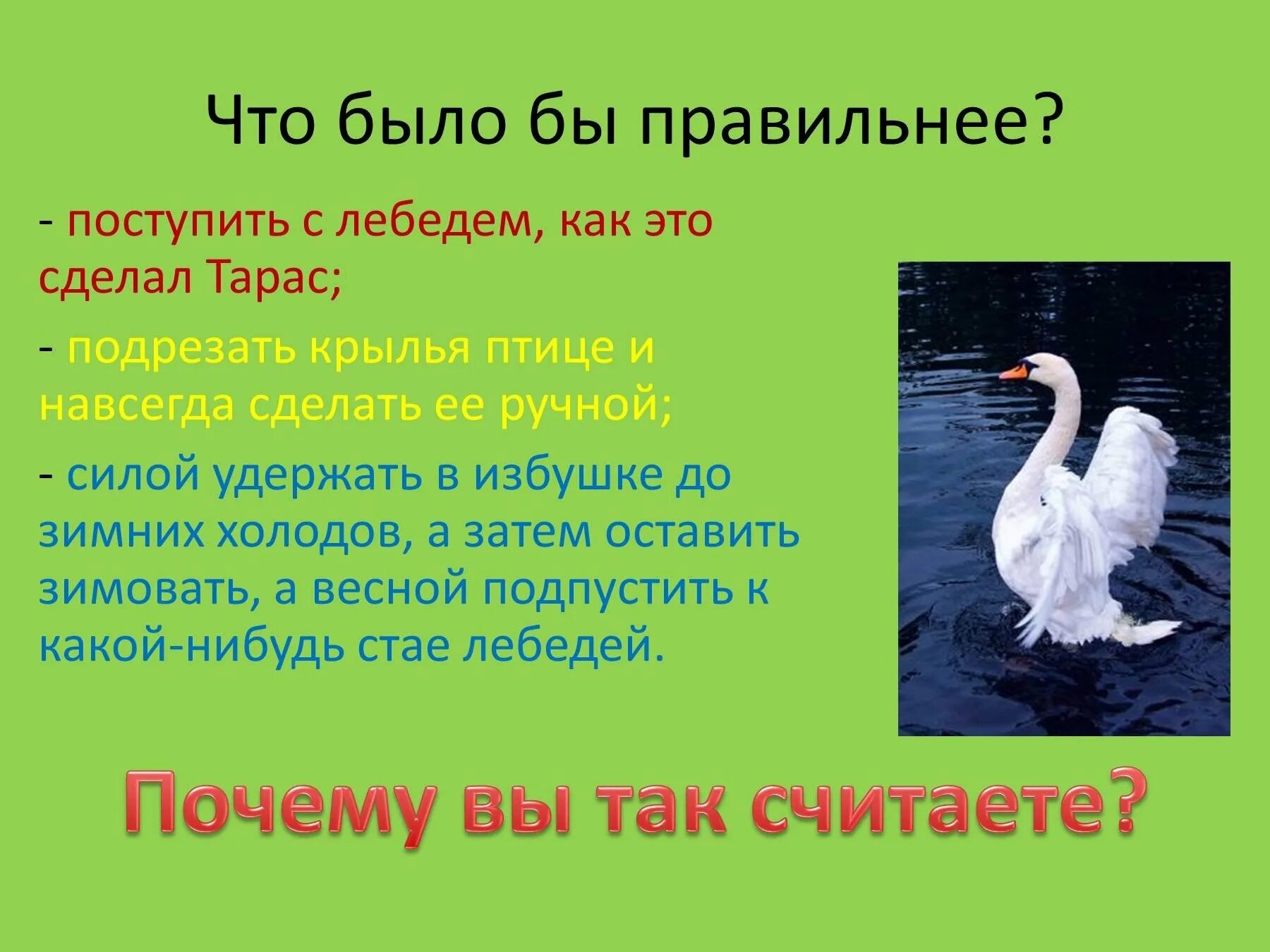 Мамин сибиряк про лебедя. Мамин сибиряк про лебедя. Мамин сибиряк про лебедя. Литературное чтение приемыш. Приёмыш мамин сибиряк.