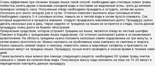 На трассе Архангельск-Северодвинск алководитель чуть не лишился языка - Беломорк
