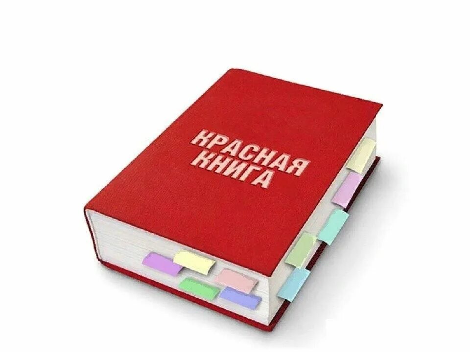 Красная книга картинки. Красная книга. Международная красная книга. Книги про краны. Международная красная книга обложка.