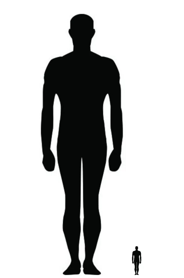 Human picture. Силуэт человека со спины. Силуэт Forsetti. Human Size. Full person.