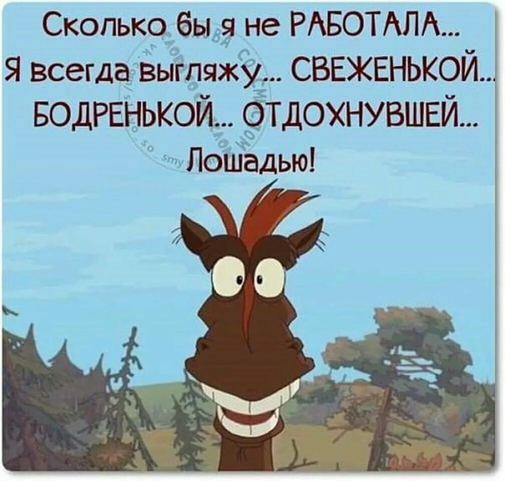 Хочу работать лошадь