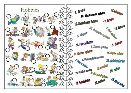 Collection hobbies