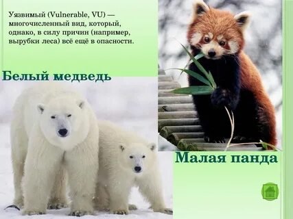 Исчезающие малый
