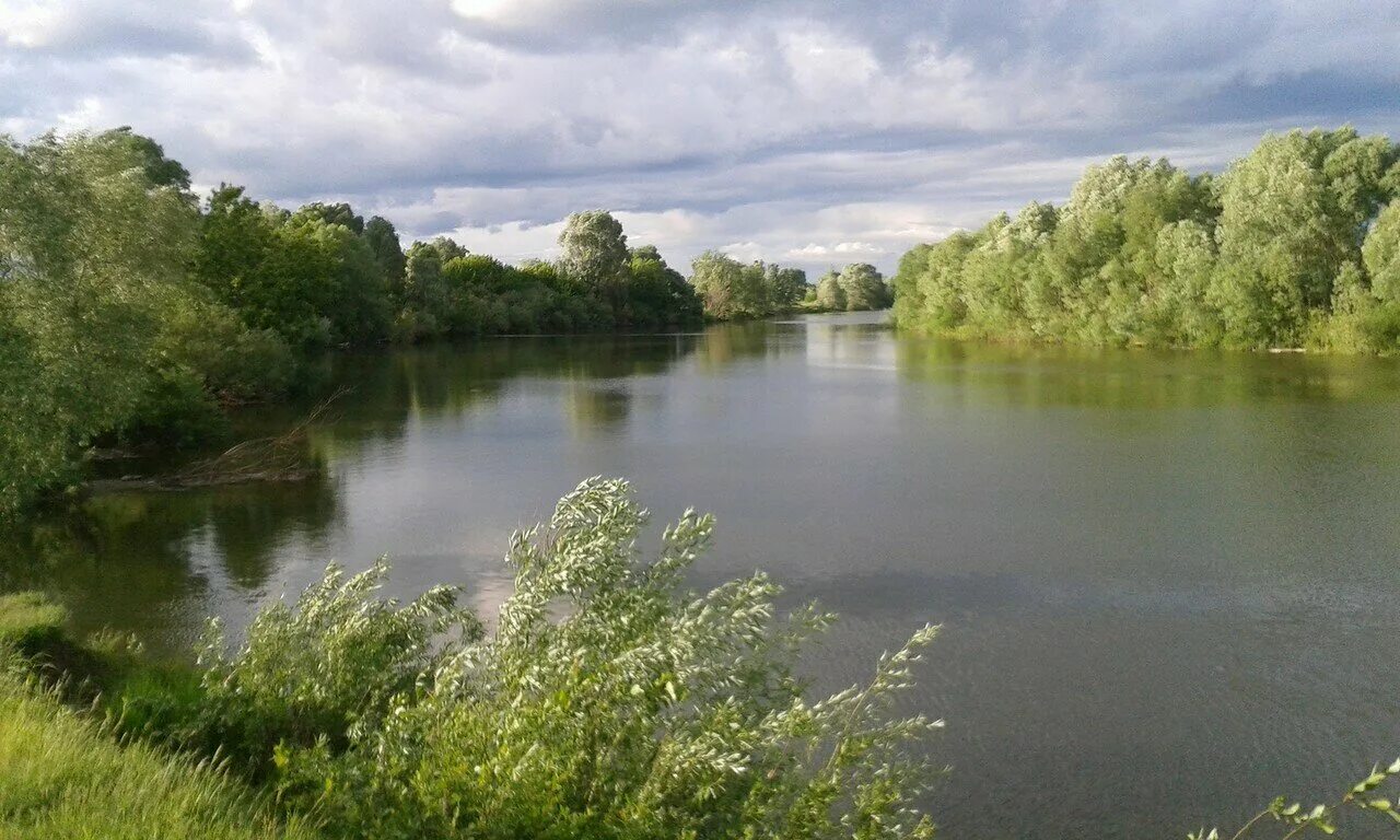 Бывшая река казань. Река Казанка в Казани. Казань природа на реке Казанка. Река Казанка Волгоградская область. Устье реки Казанки.