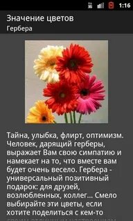 Значение букетов