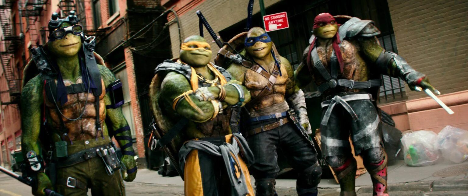 Turtles 2 in 1