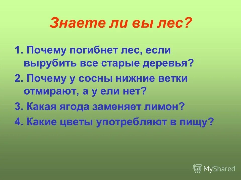 почему у сосны нет нижних веток. почему нижние ветки у сосны отмирают а у ели живут долго. почему у сосны нижние ветки отмирают. сосна светолюбивая или. почему у сосны нет нижних веток.