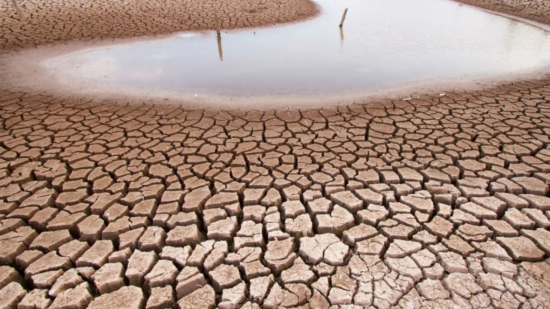 Опустынивание в Китае. Засуха рек. Истощение вод. Засуха и нехватка воды.