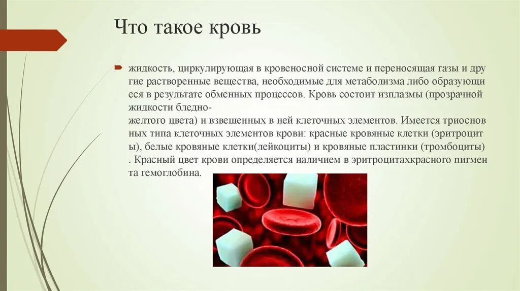 Слово чушпана кровь. Презентация на тему кровь. Кровь краткое понятие.