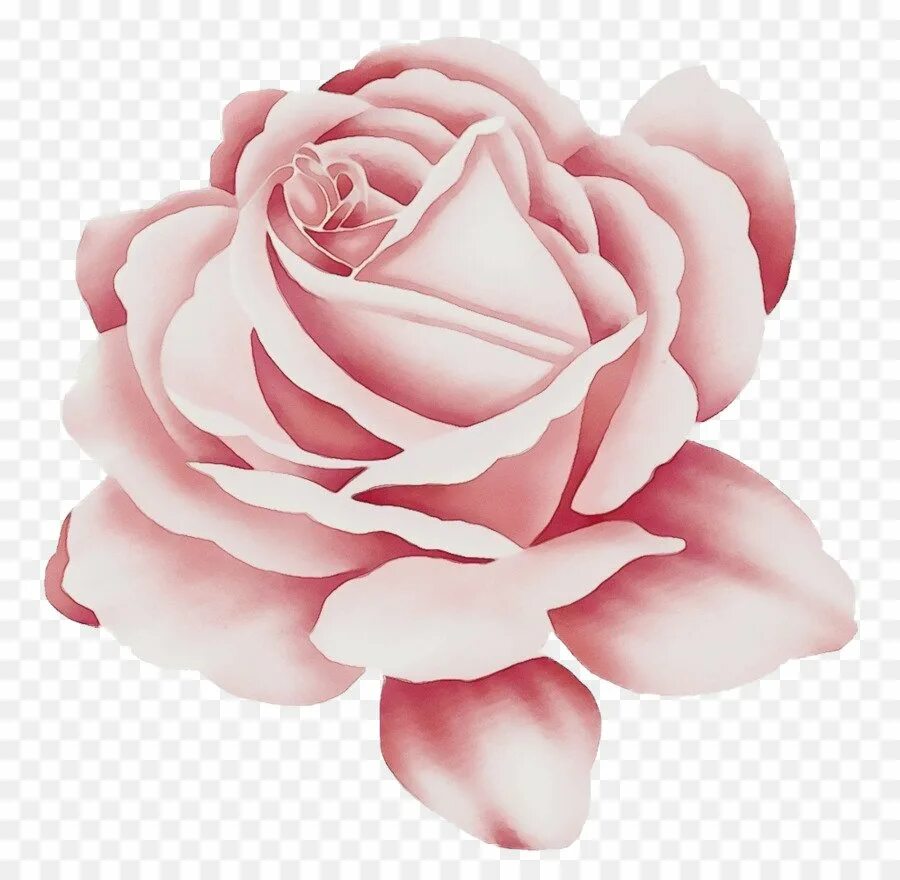 Нарисовать цветы. Розовый цветок рисунок. Розы мультяшные. Нарисовать розовый цветок