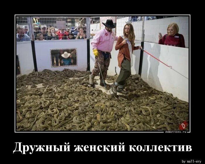 Сплоченный женский коллектив. Женский коллектив на работе приколы. Женский коллектив юмор. Женский коллектив демотиваторы. Цитаты про женский коллектив.