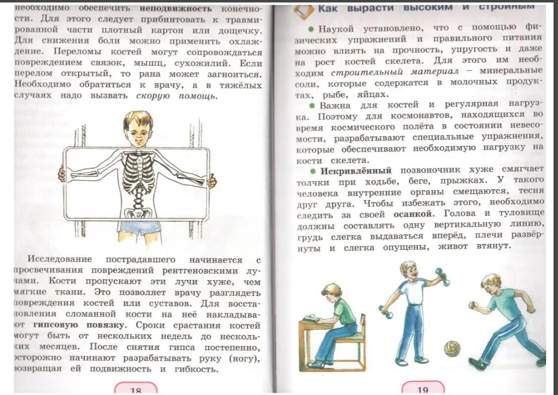 Окружающий мир 3 класс перспектива учебник читать