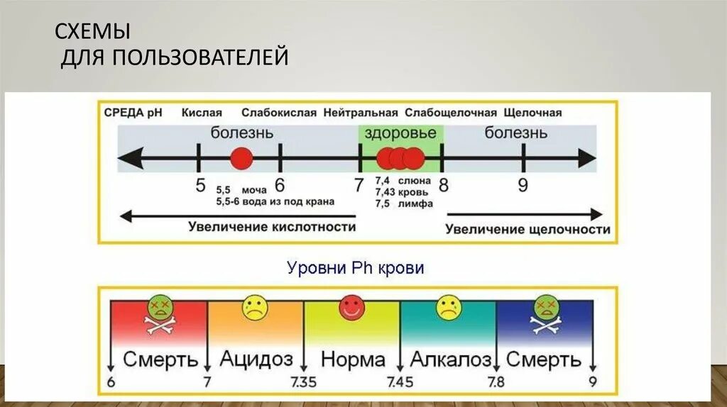 PH кислотно щелочной баланс. Кислотно-щелочное равновесие и главные буферные системы в организме. РН крови кислая или щелочная. Кислотно-щелочное равновесие крови.