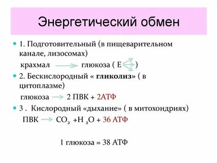 Сколько атф в подготовительном этапе