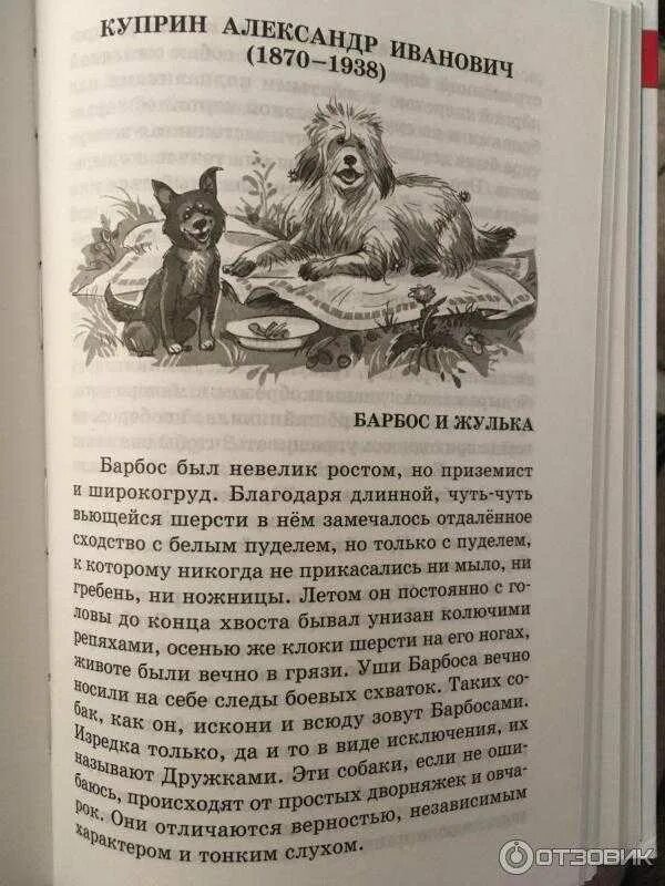 Барбос и Жулька Куприна. Куприн произведение Барбос и Жулька. А. И. Куприн сказка Барбос и Жулька. Куприн Барбос и Жулька книга. Краткий рассказ барбос и жулька 4 класс