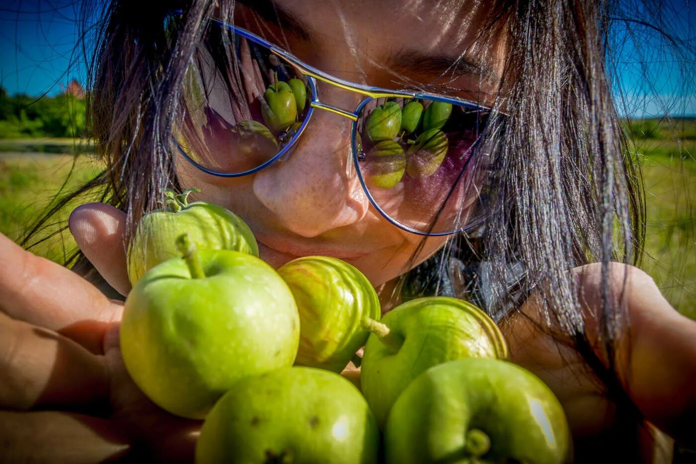 Apples Goldparmäne Fruit - Free photo on Pixabay Tree of life tattoo, Tree house