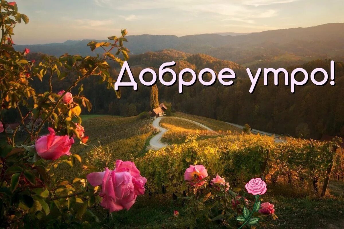 Переведи доброе утро