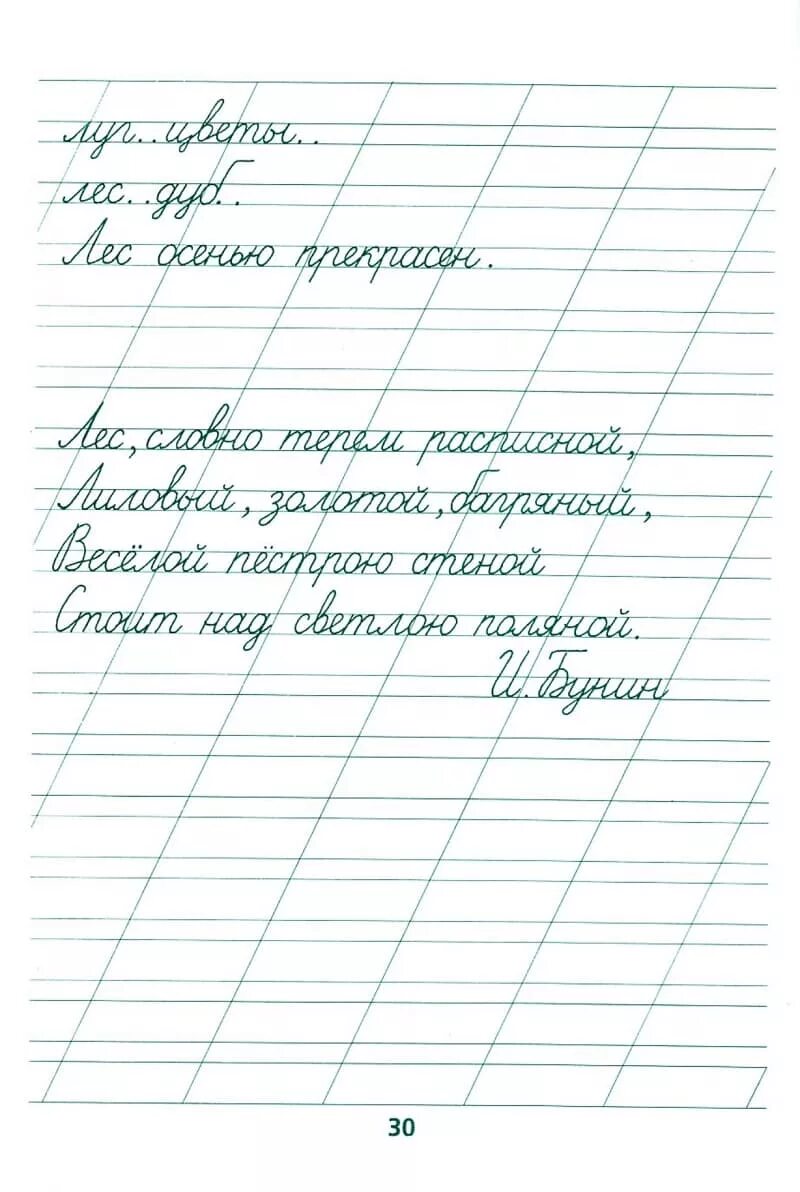 Соединение букв. Propisi dla 1 klassa. Прописи. Чистописание. Каллиграфия 1 класс.