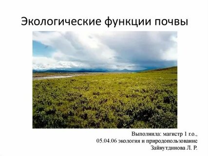 3 функции почвы