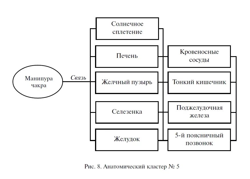 Многомерная диаграмма. Диаграммы по многомерной медицине. Диаграммы биолокации Пучко. Анатомический кластер. Рис 8 результаты