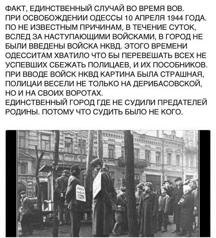 Бандеровцы одессы. Бандера ветеран. Сумка смерть оккупантам. Бандеровцы одессы. Бандеровцы одессы.