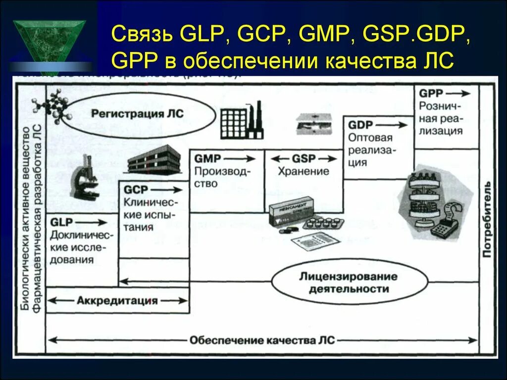 Gmp контроль качества. Стандарты glp и gcp. glp gcp gmp. система качества gmp это. единая система glp, gcp и gmp.