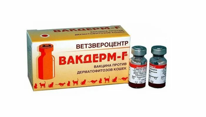 Вакцина гексаканивак. Вакдерм вакцина против дерматофитозов кошек и собак. Вакдерм для животных в уколах. Вакцина вакдерм ф для кошек. Вакдерм для собак.