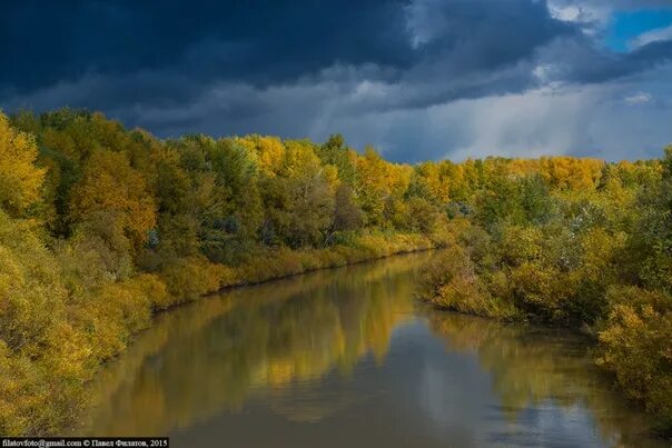 Река алей Алтайский край. Река Неня в Алтайском крае. Рубцовск Алтайский край природа. Река алей в Рубцовске. Река алей алтайский