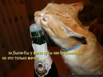 Когда очень хочется пить