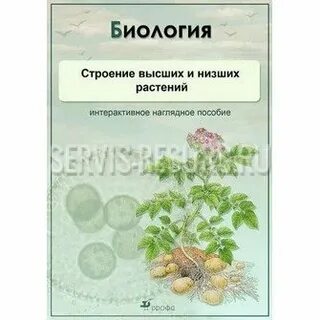 Учебные пособия по биологии примеры