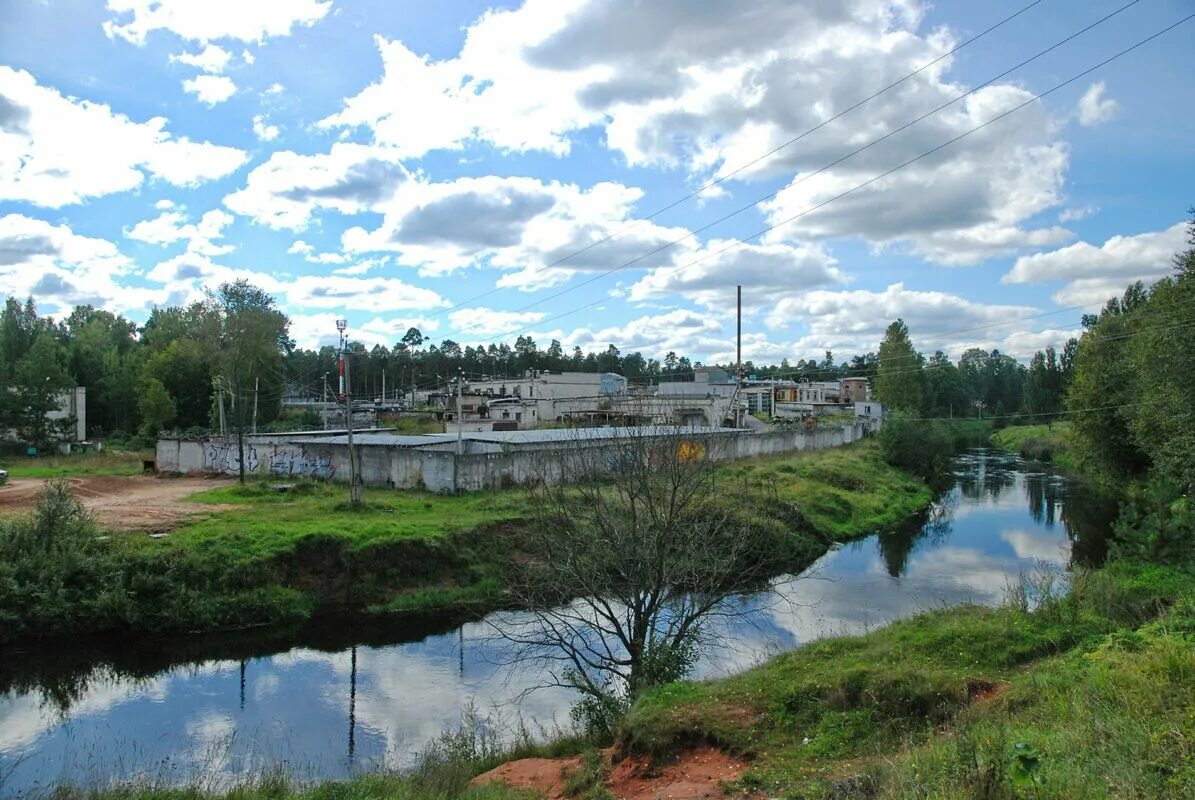 кирилл лавров дача в вырице. вырица садоводство радуга фото. озон вырица. п вырица ленинградская область. вырица река оредеж.