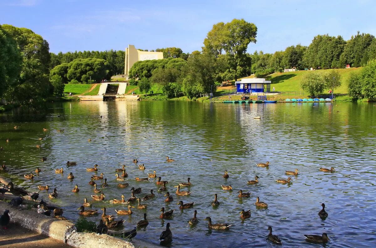 м. парк у цирка киров пруд. парк имени кирова фото киров. г киров парк имени кирова. парк имени кирова.