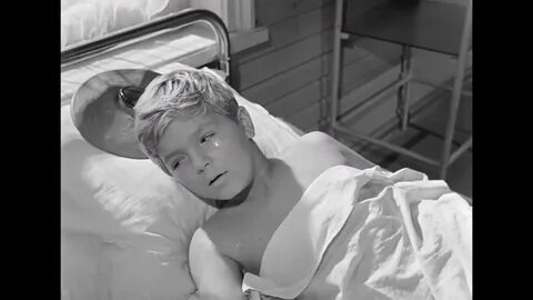 Добро пожаловать 1964