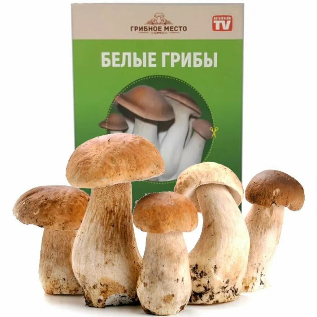 Грибные деньги
