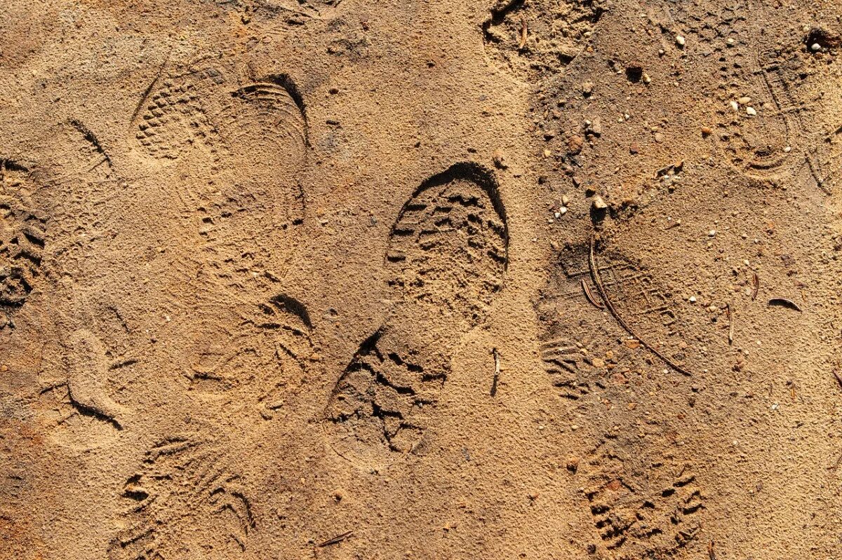 След в истории. Следы ботинок на песке. Следы обуви на земле. Дорожка следов обуви на земле. Следы обуви на песке.