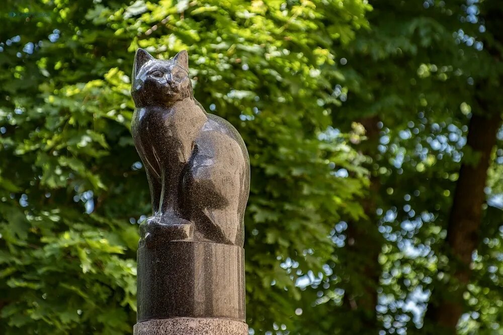 Памятник елисею и василисе в санкт-петербурге. Памятник котам блокадного ленинграда. Сквер сибирских кошек в санкт-петербурге. Памятник кошкам блокадного ленинграда в санкт-петербурге. Памятник коту елисею в санкт-петербурге.