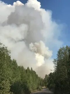 Пожары в карелии