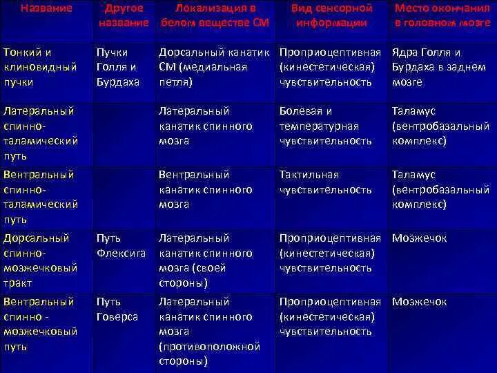 Функции ядер спинного мозга. Функции ядер спинного мозга