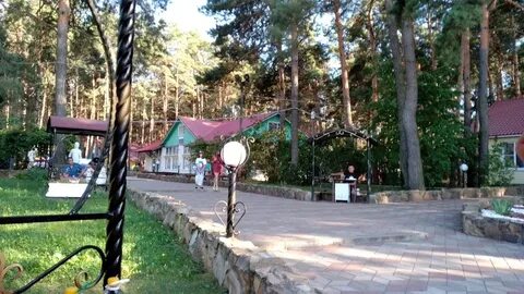 Лагерь орленок курск отзывы