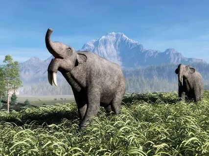 As we walked around the prehistoric