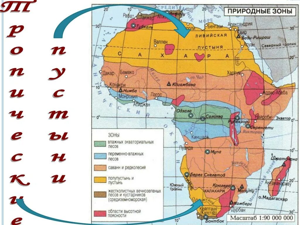 Карта природных зон Южной Африки. Экваториальные зоны Африки. Географическая карта Африки природные зоны. Тропическая зона Африки. Наибольшую часть австралии занимают пояс