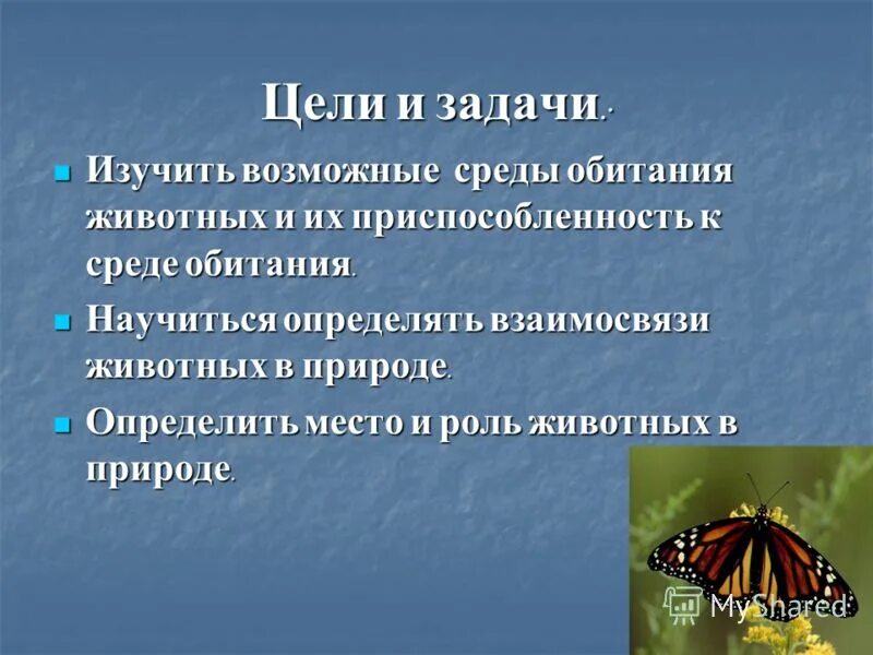 Цель про животных. Тема животные с целями и задачами. Цель и задачи проекта животных животные. Цели и задачи проекта о питомце. Роль животных в природе.