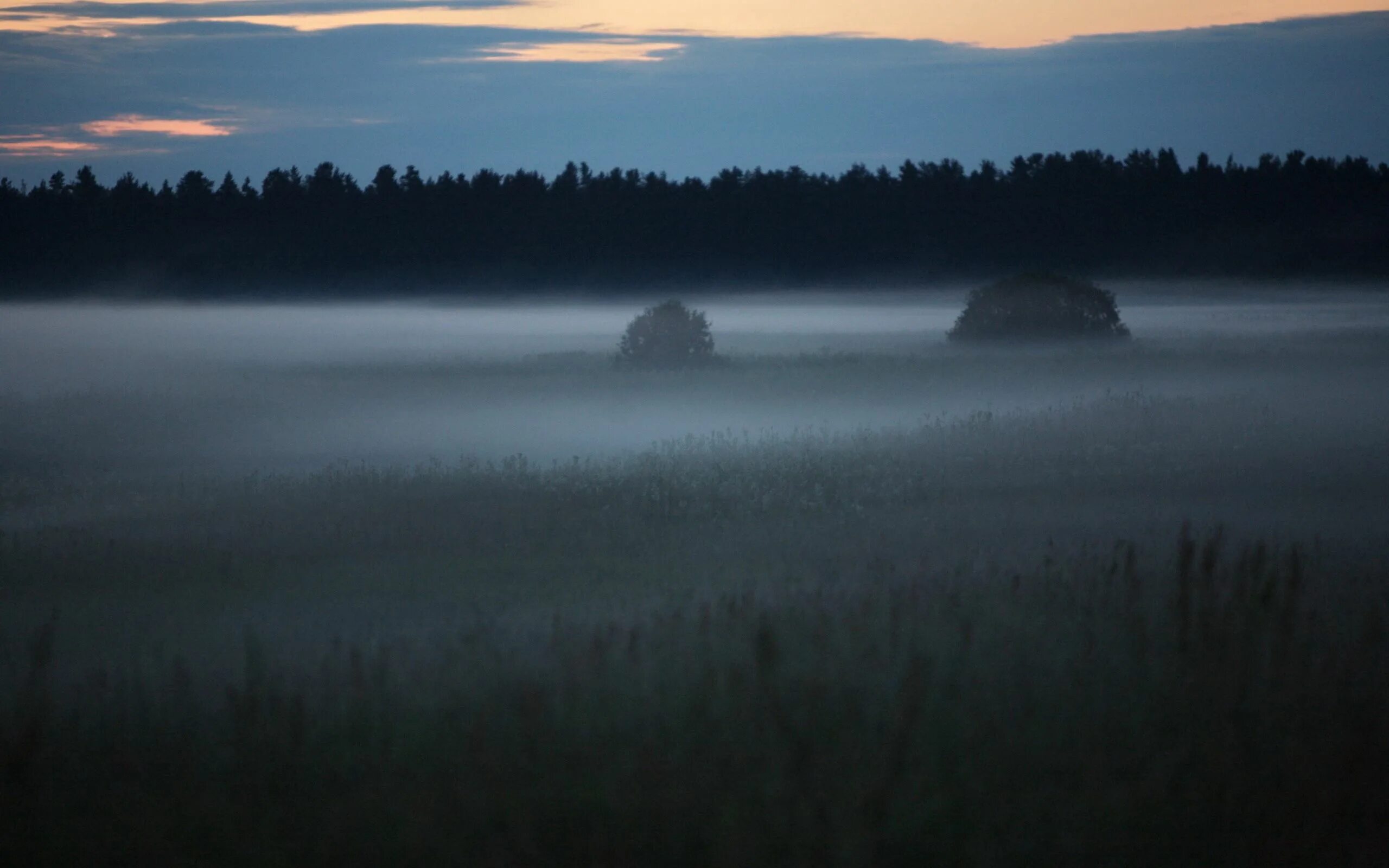 Плотная пелена. Туманный пейзаж. Туман в поле ночью. Ночное поле в тумане. Мгла природа.