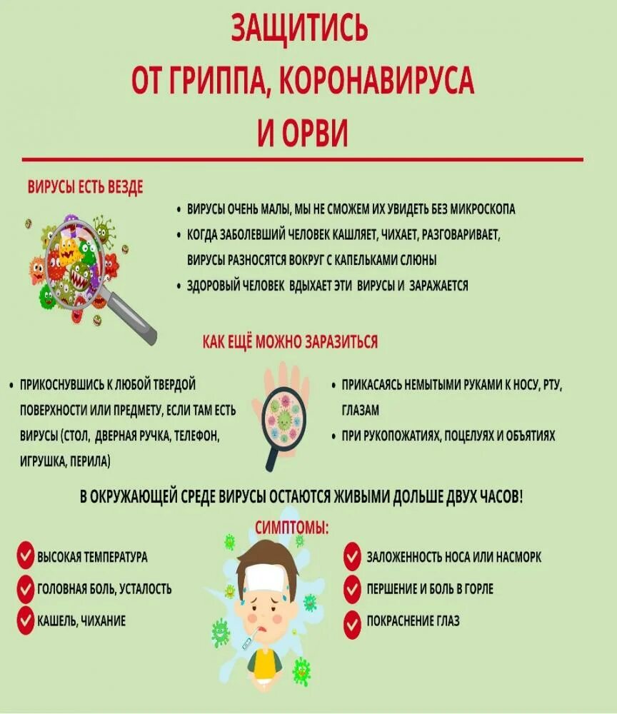 Классный час профилактика гриппа и орви. Классный час профилактика гриппа и орви