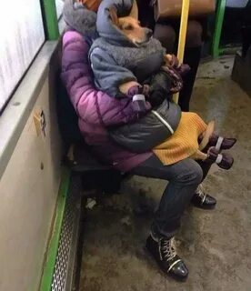 Смешное актуальное