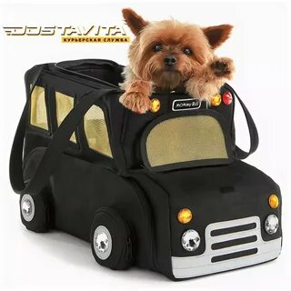 Автомобиль собак